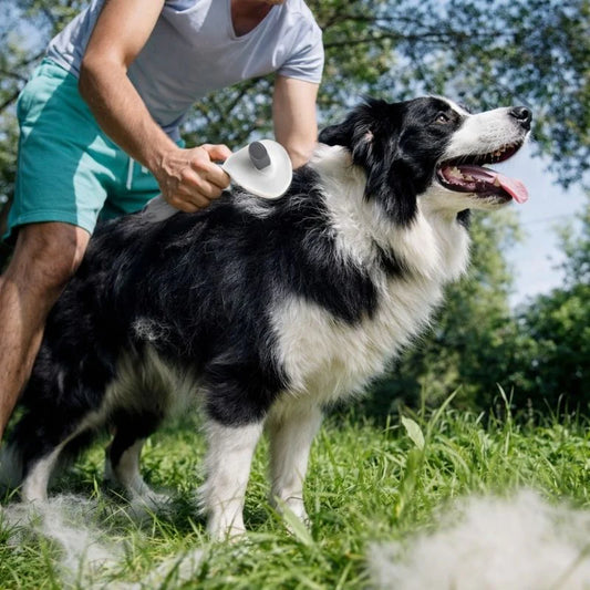 Furrlab™ FurEase Brush